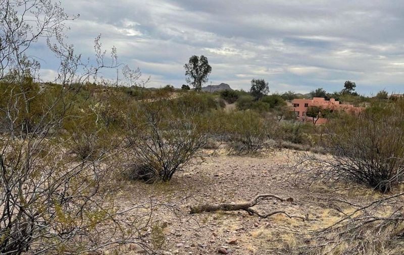 50835 THRASHER LANE, 47 -  WICKENBURG