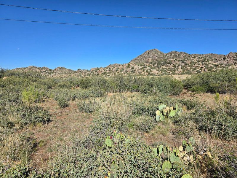 23358 SOUTH CANDY CANE -  YARNELL