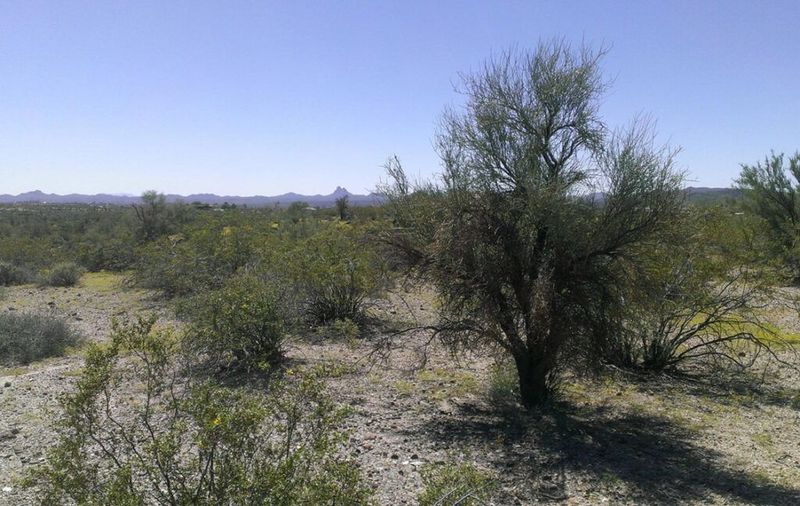 34765 S NINE IRONS ROAD -  WICKENBURG