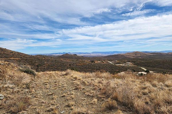 WOLFPACK TRAIL ACREAGE -  MAYER