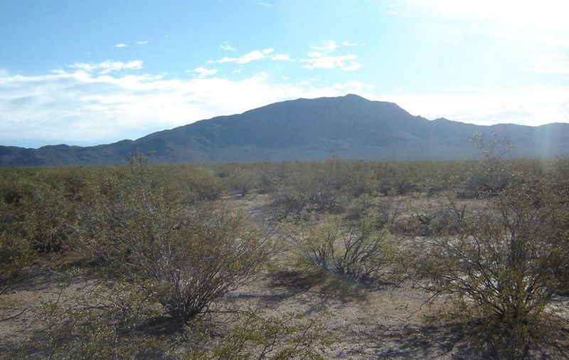 0 N 529TH AVENUE, 1 -  AGUILA
