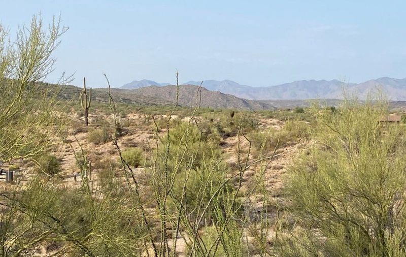 0 W ENCELIA COURT -  WICKENBURG
