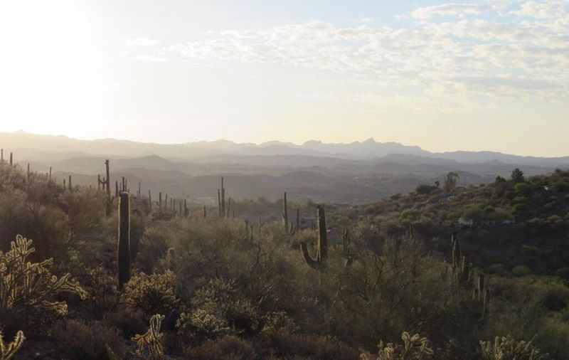 11 S KELLIS ROAD, 3 -  WICKENBURG
