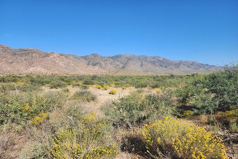 33 ACRE DATE CREEK ROAD -  CONGRESS